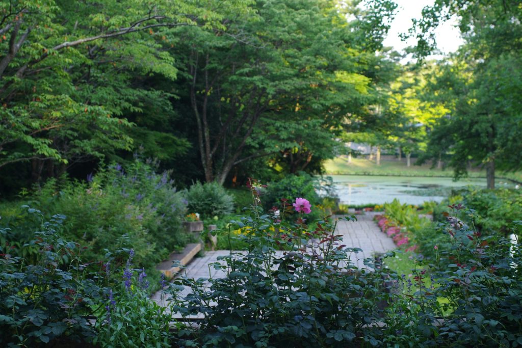 A view of a garden from a distance