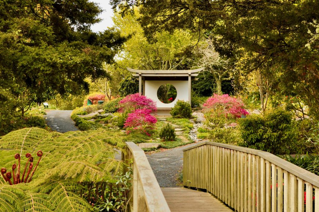 bridge near trees during daytime