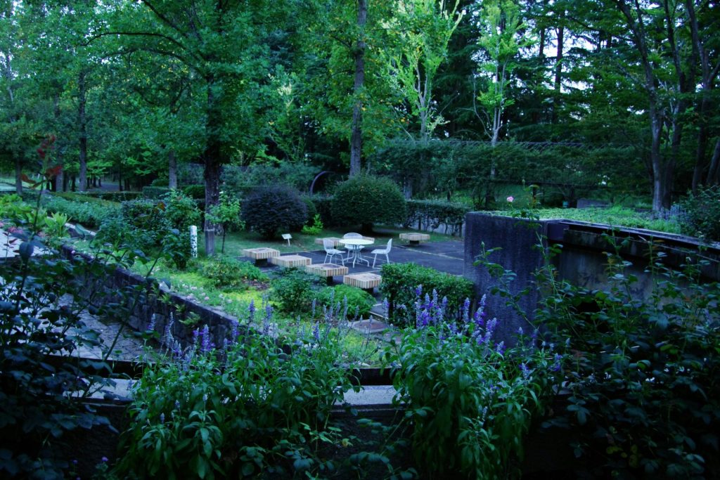 A pond surrounded by trees and bushes in a park