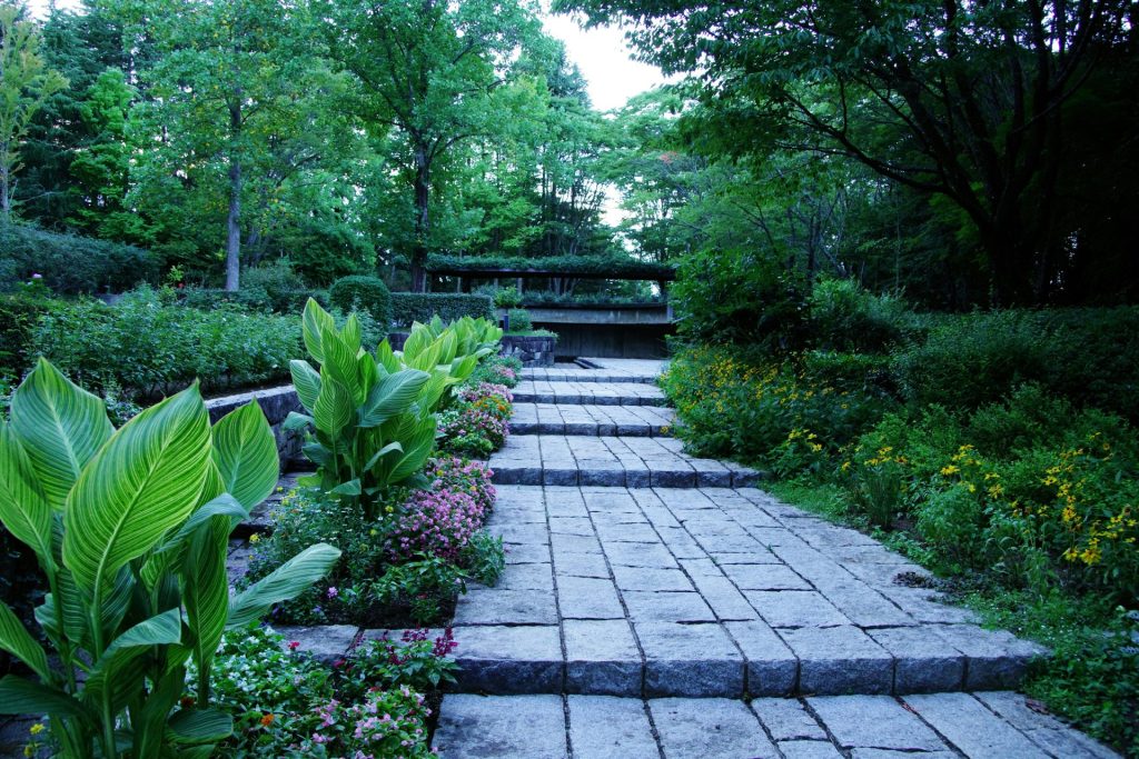 A stone walkway surrounded by lush green trees