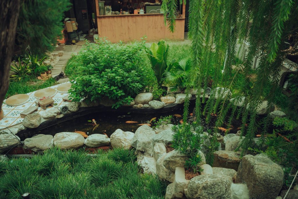 Small pond surrounded by rocks and lush green plants